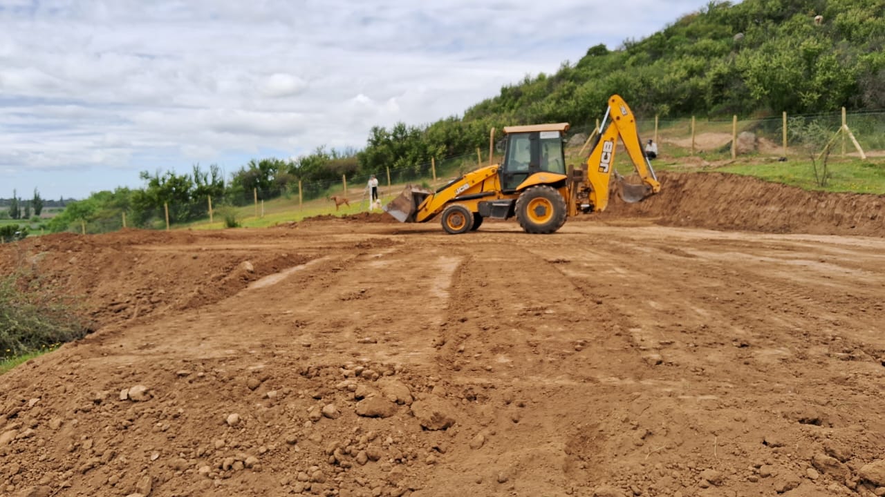 WhatsApp Image 2025-02-21 at 12.59.30